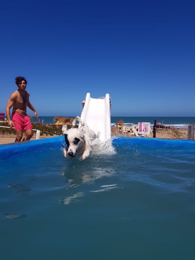 PLAYA PERROS