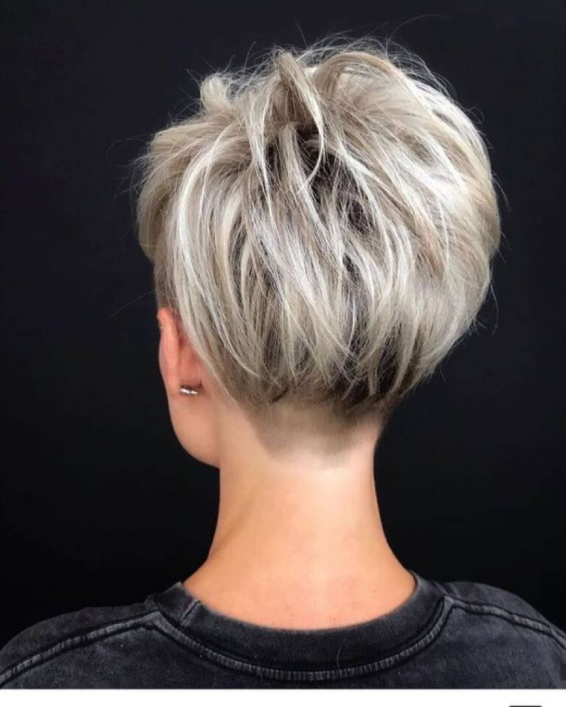 Pelo canoso