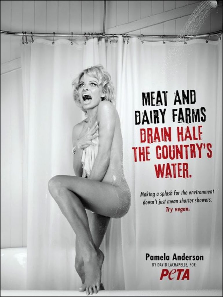 Pamela Anderson. Foto: Fotonoticias.PETA CAMPANIA