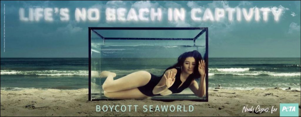Noah Cyrus. Foto: Fotonoticias.PETA CAMPANIA