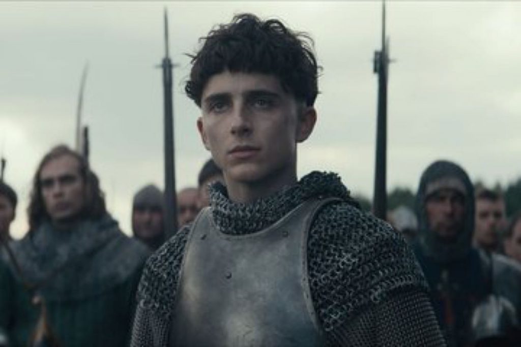 THIMOTHEE CHALAMET CINE