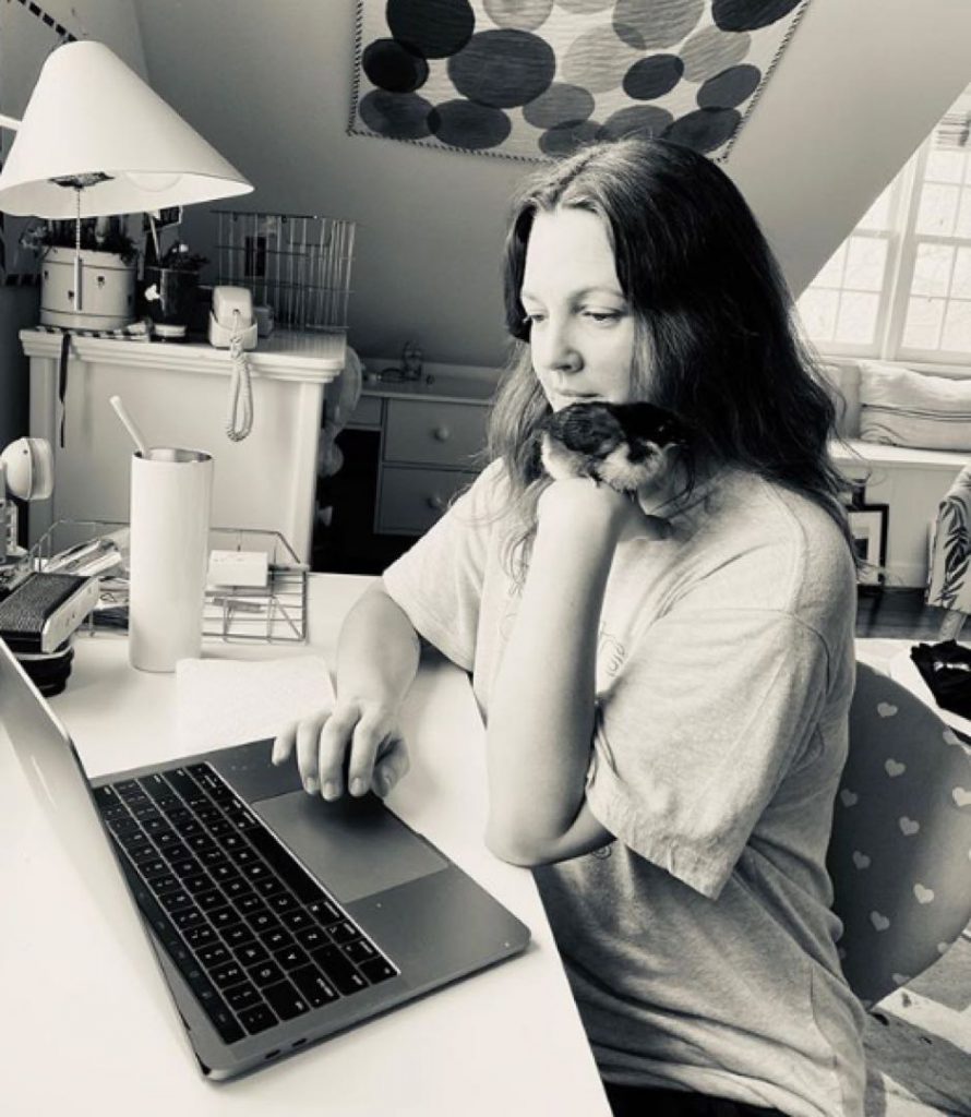 DREW BARRYMORE CUARENTENA CASA DECO