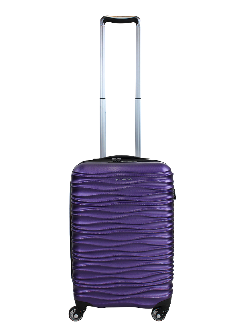 Ripley - MALETA S DE CABINA CON PUERTO USB SANTA CRUZ MORADA RICARDO  BEVERLY HILLS