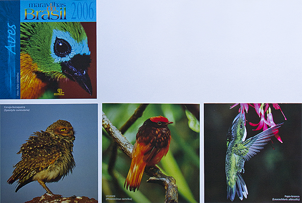 Editora Escrituras - 2006