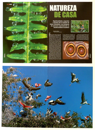 Photo Magazine