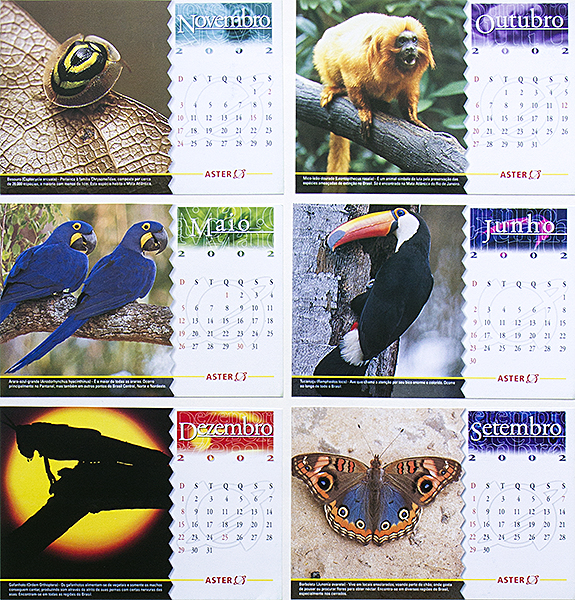 Aster Petróleo - 2002