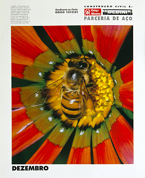 Belgo Mineira - 1996/2000