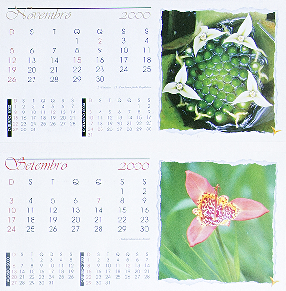 Boehringer Ingelheim - 2000