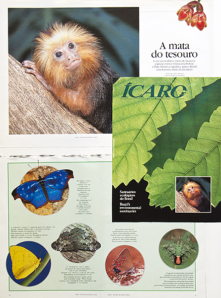 Ícaro