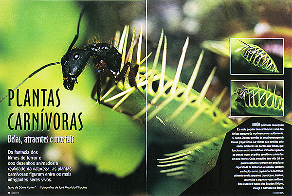 Caminhos da Terra