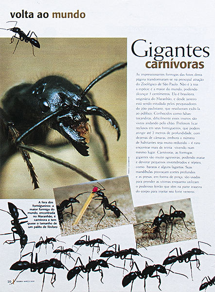 Caminhos da Terra