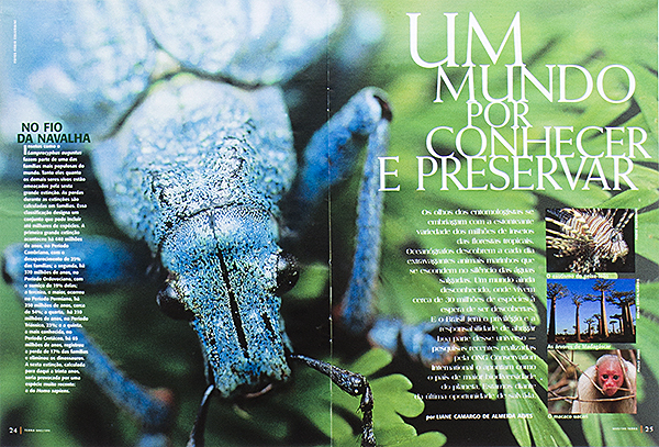Caminhos da Terra