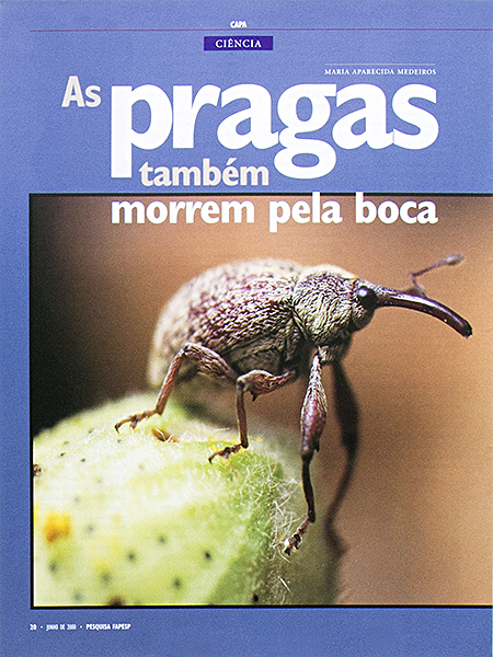 Pesquisa Fapesp