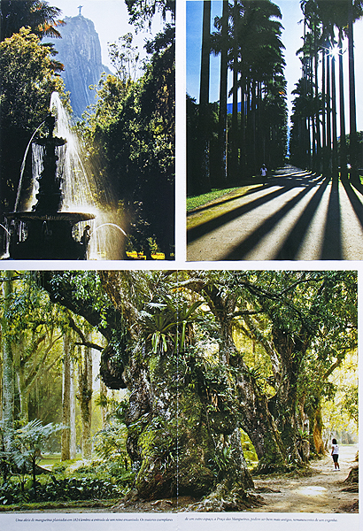 National Geographic Brasil