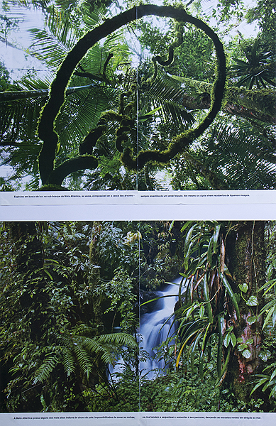National Geographic Brasil