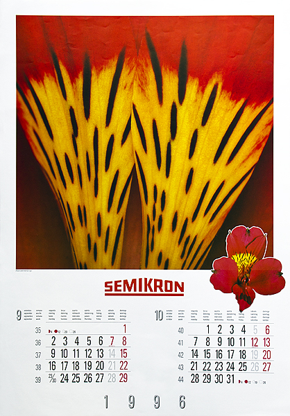 Semikron - 1996
