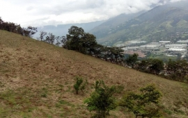 Venta de  Lote en Copacabana - Cristo Rey