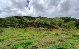 Venta de  Lote en Yolombó - La Cortada