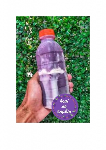 Açaí Batido Garrafa Com Manga 300 ML