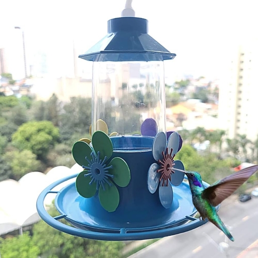 Bebedouro Beija Flor 250ML