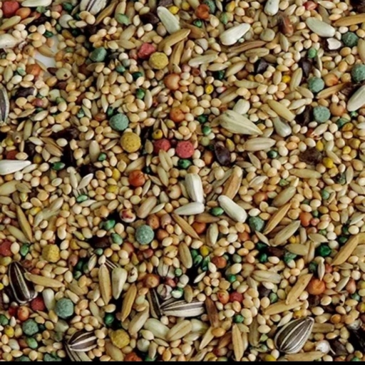 Mist.calopsita  e Periquito Completa