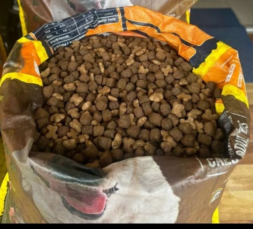 Canister Ossinhos Premium Raças Medias e Grandes