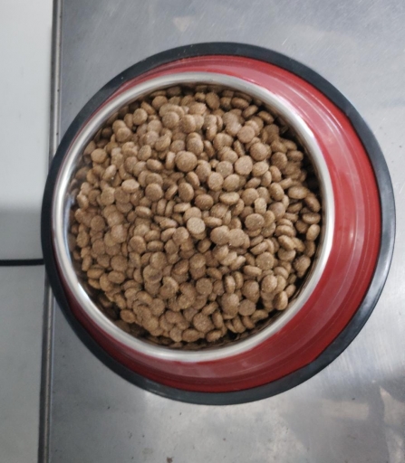 Quatree Supreme Cães Adultos Raças Pequenas