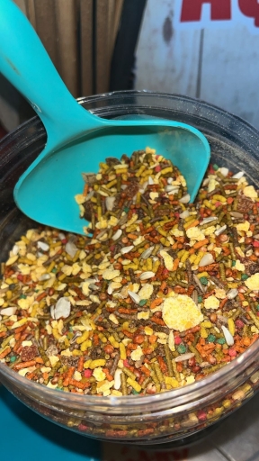 Trinca Ferro  Manga Flocada