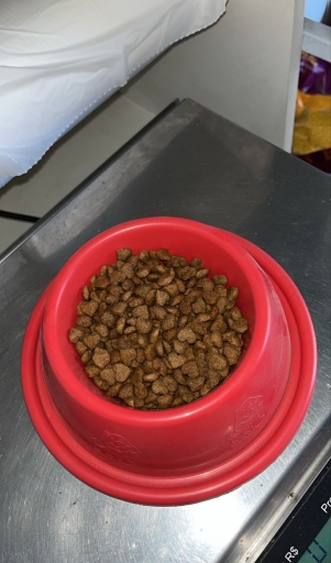 Vitalitá Raças Pequenas