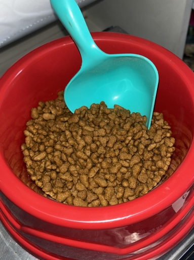 Quatree Gourmet Gatos Adultos - Mix de Carnes