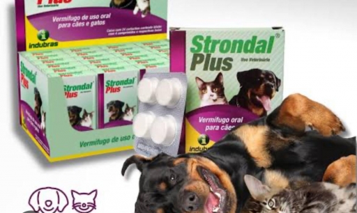 Strondal Plus Vermifugo Para Cães e Gatos - 4 Comp