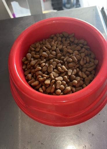 Ração Aurum Black Gatos Castrados - Carne e Frango