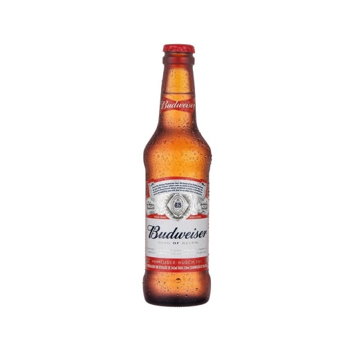Cerveja Budweiser Long Neck