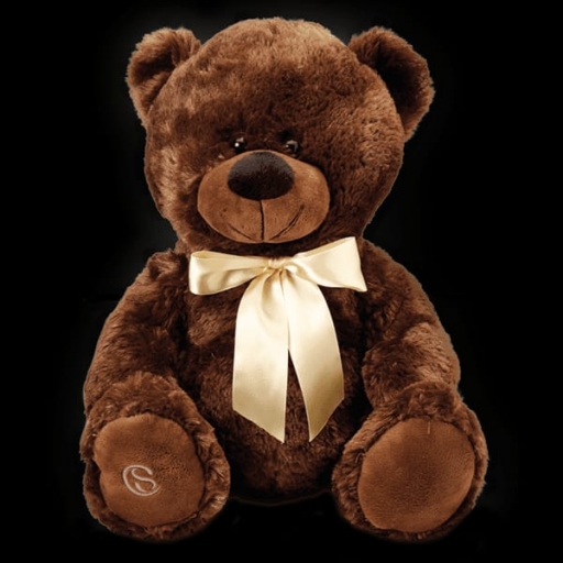 Pelúcia de Urso Marrom G