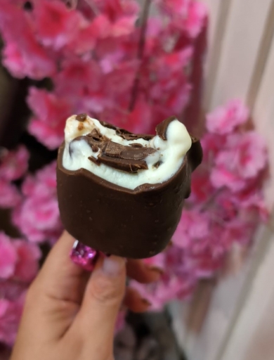 Paleta Ninho Com Nutela