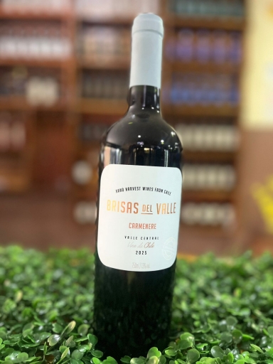Brisas Del Valle Tinto Cabernet Sauvignon 750 ML