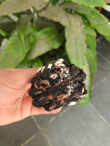 Cookie Chocolate Black