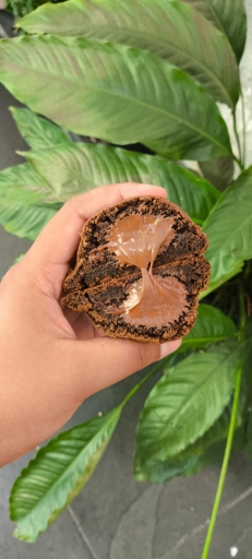 Cookie de Chocolate Com Nutella