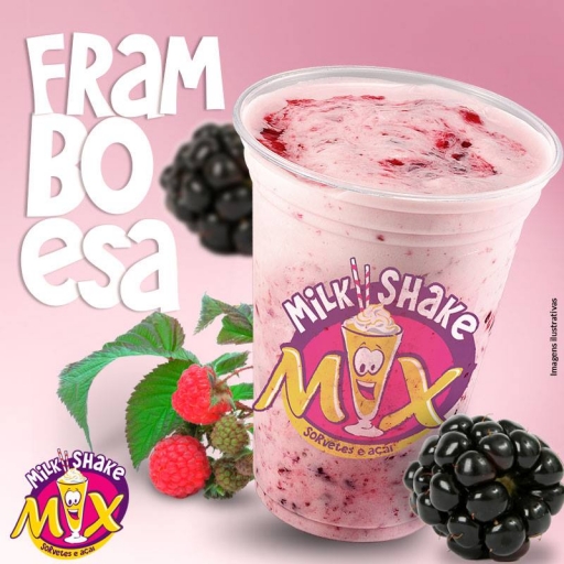 Milk Shake Framboesa 500ML