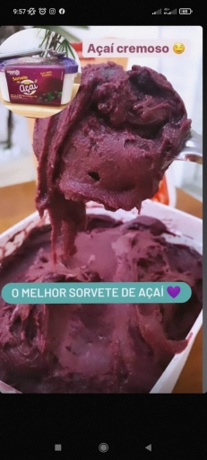 Sorvete Açaí 1,5L