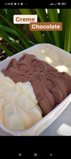 Sorvete Seleções Carioca 2L