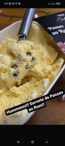 Sorvete Seleções Passas Ao Rum 2L