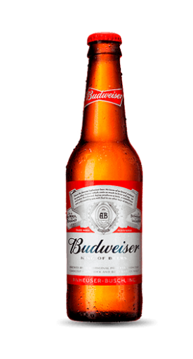 Cerveja Budweiser Long Neck