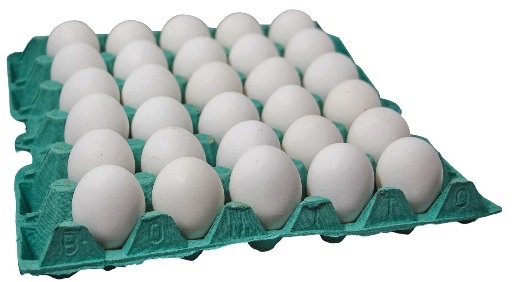 Ovos Dúzia