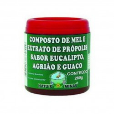 Composto de Mel/prop/euc/agr/e Guaco 280