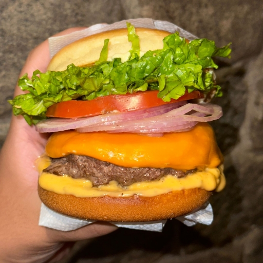 03. Chesse Salada 120G