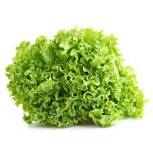 Alface Crespa