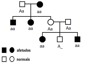 Heredograma de uma família com Fibrose Cística