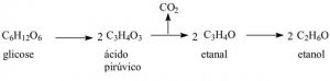 resumo-de-respiracao-celular9