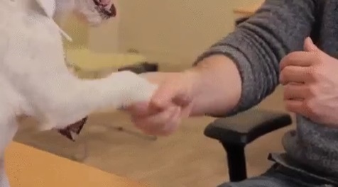 Aquele combinado que você fez com você mesmo ainda tá de pé?